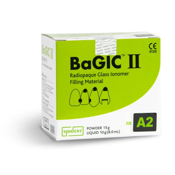 BaGIC II